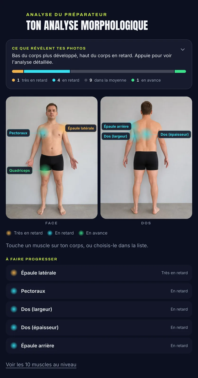 Quatorze photos, quinze muscles, un profil unique