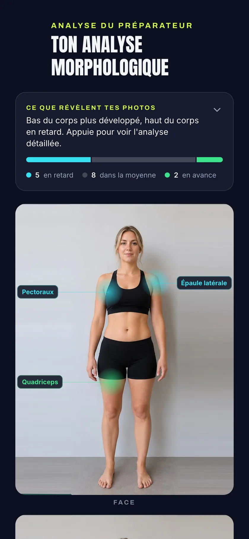 Léa : pectoraux et dos en retard, jambes en avance