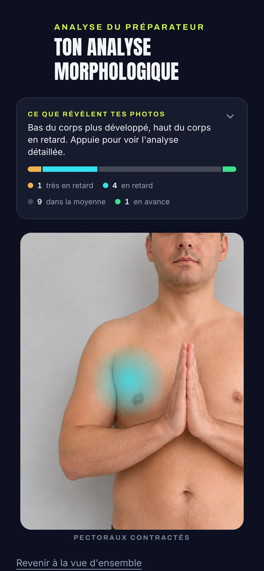 Le détail d'un muscle